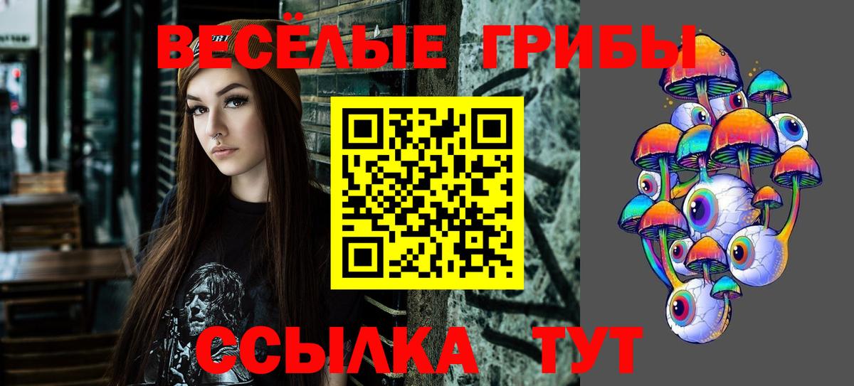 Галлюциногенные грибы мицелий  Псилоцибиновые грибы прущие грибы  Новоалтайск  Вход с VPN 